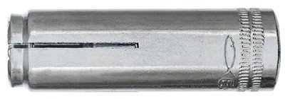 Ankeris EA II M 12x50 D GVZ su borteliu - Image 2